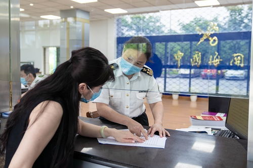 兩步申報(bào)的概要申報(bào)可以修改嗎