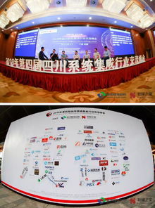 2018年第四屆四川系統(tǒng)集成行業(yè)交流峰會圓滿落幕于成都，共話軟件開發(fā)新生態(tài)